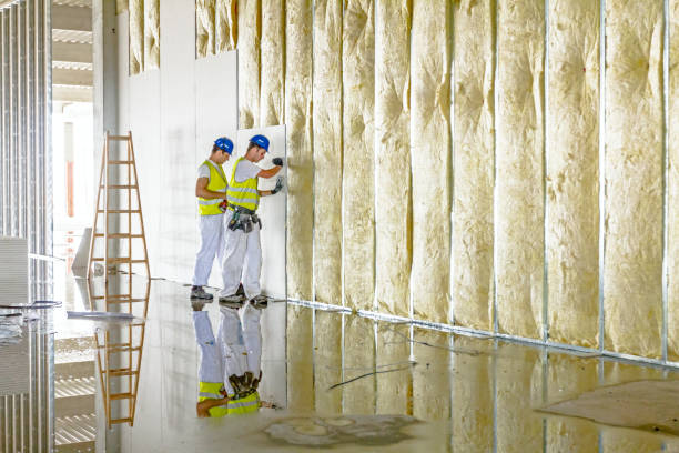 Best Blown-in Insulation in Sutter, CA